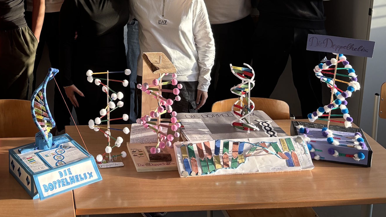 DNA-Doppelhelix-Modell