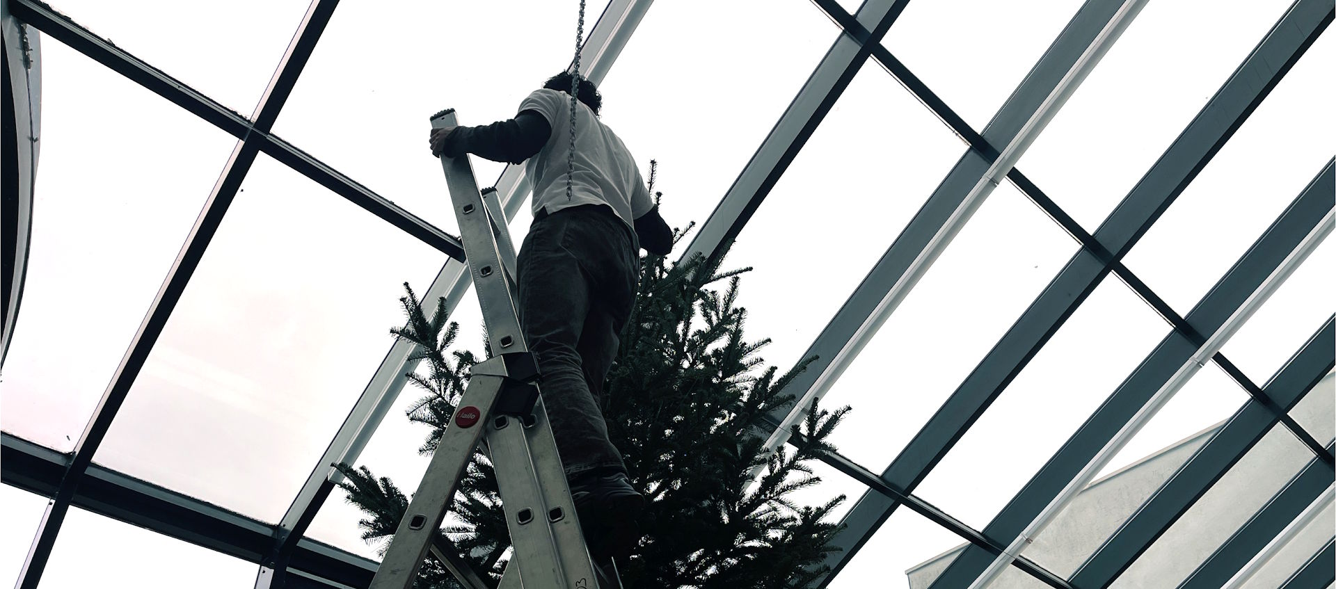Schmücken der Spitze in 5 Meter Höhe